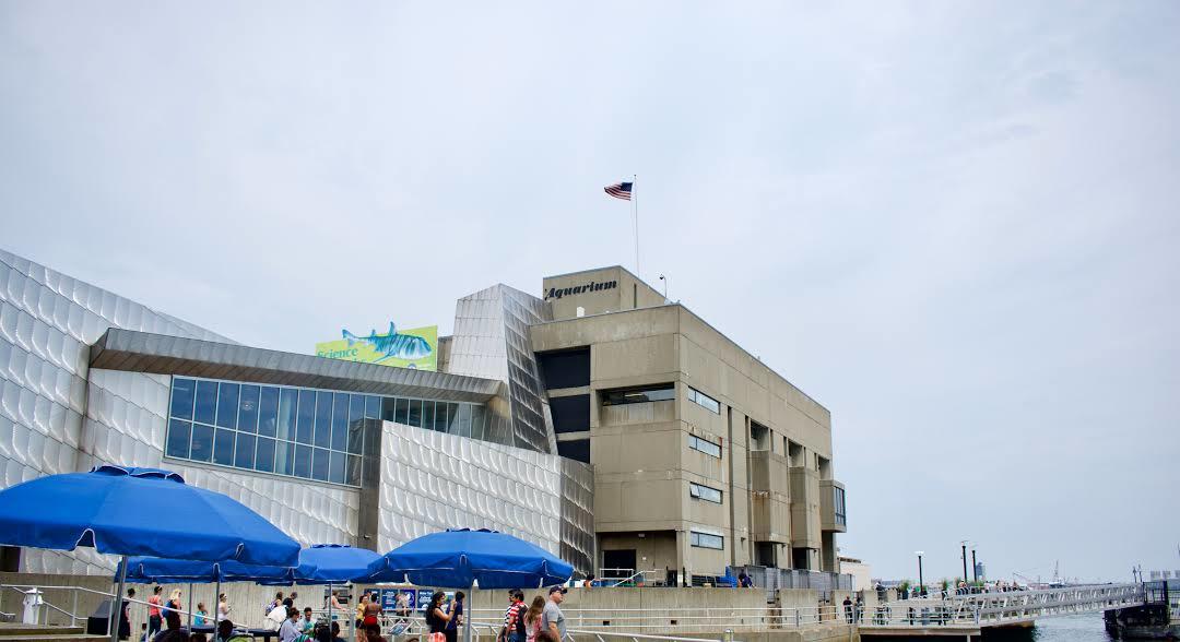 Aquarium van New England