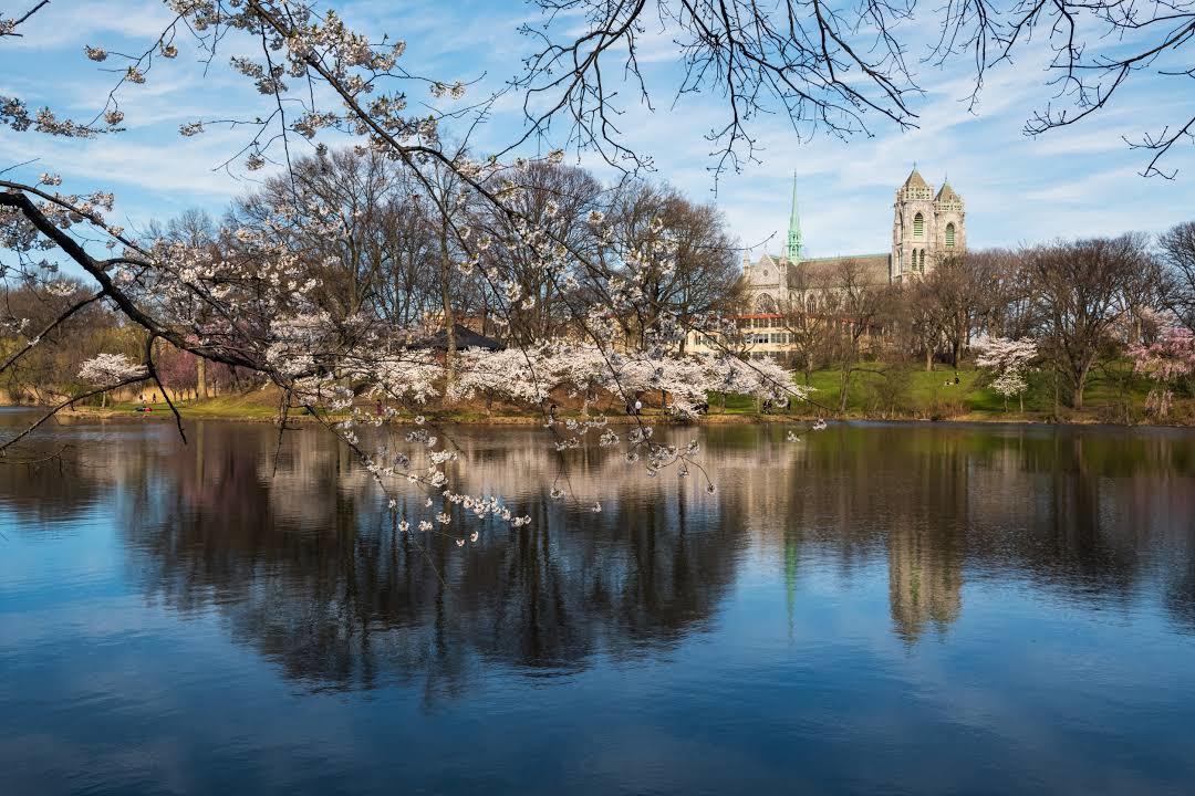 Branch Brook Park