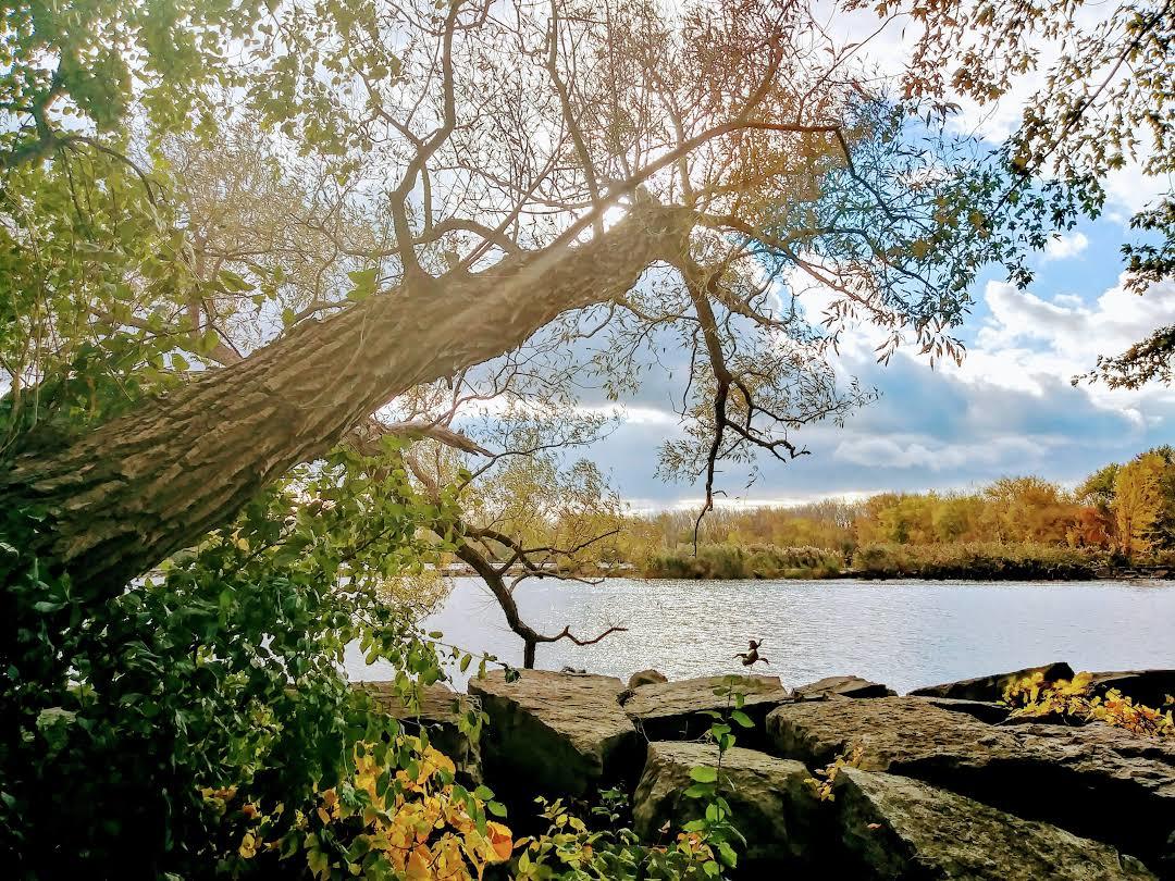 Onondaga Lake Park