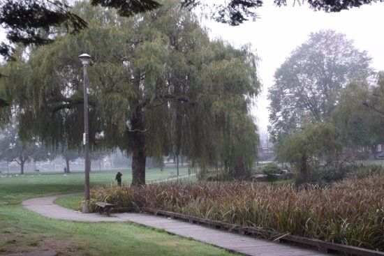 Memorial South Park