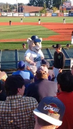 Bellingham Bells Baseball at Joe Martin Field