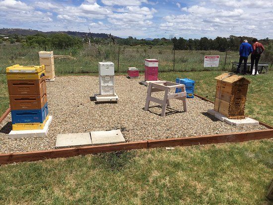 Canberra City Farm