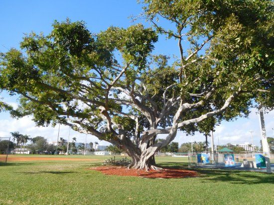 Frost Park