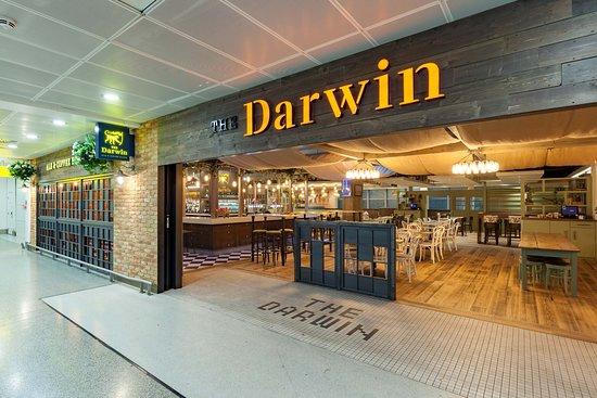 The Darwin