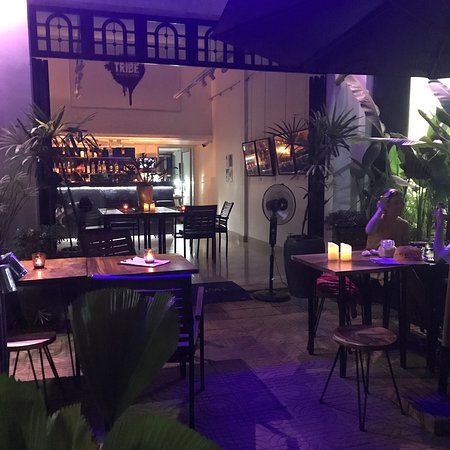 TRIBE Cambodia