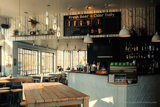 Shelter Bar & Kitchen