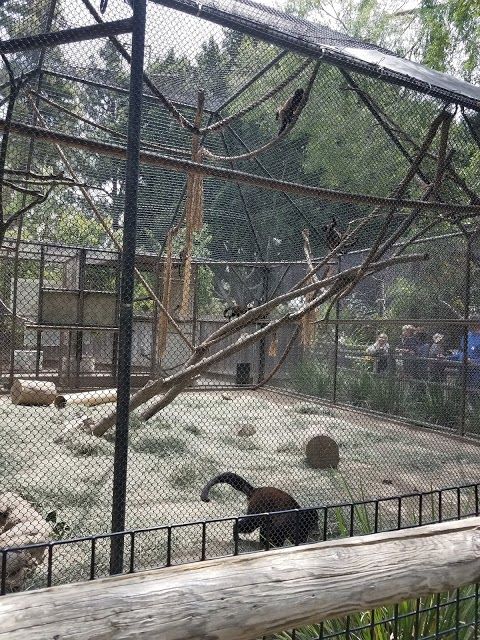 Santa Ana Zoo