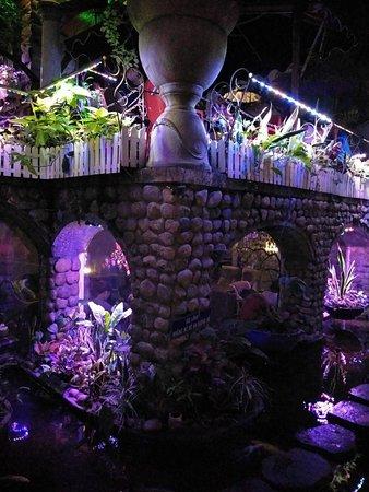 Oasis Cafe