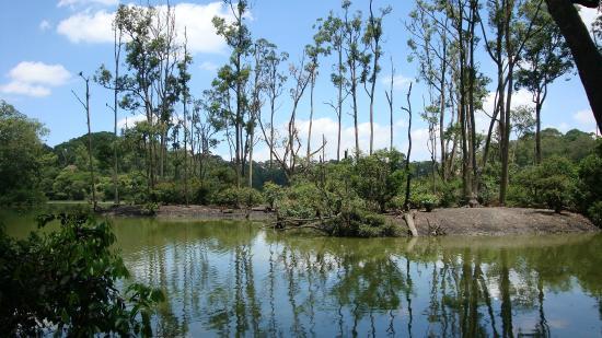 Parque Ecologico do Tiete