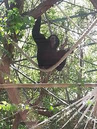 Naples Zoo