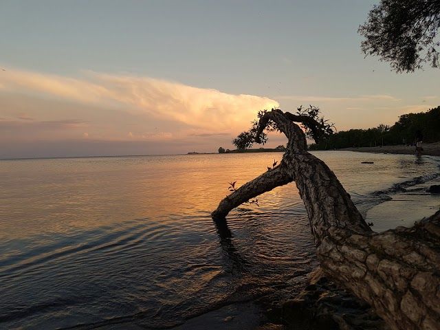 Marie Curtis Park