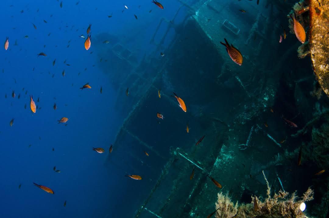 Zenobia