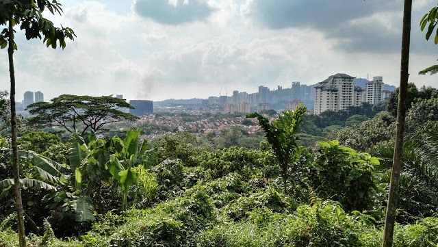 Kiara Hill Walk