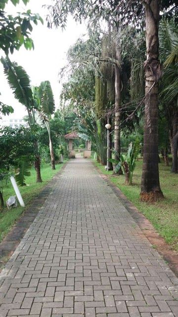 Mindspace Garden