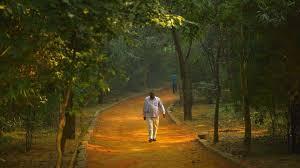 Sanjay Van