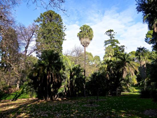 Botanic Park
