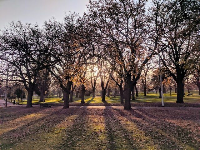 Edinburgh Gardens