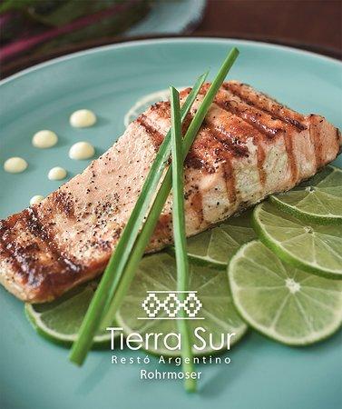 Tierra Sur
