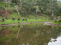 Brown Hill Creek