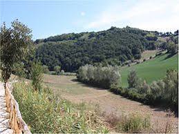 Orto Botanico dell'Universita Politecnica delle Marche