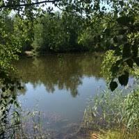 Kiekebusch See