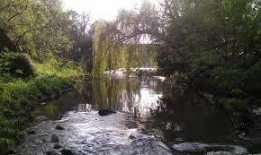 Merri Creek Trail