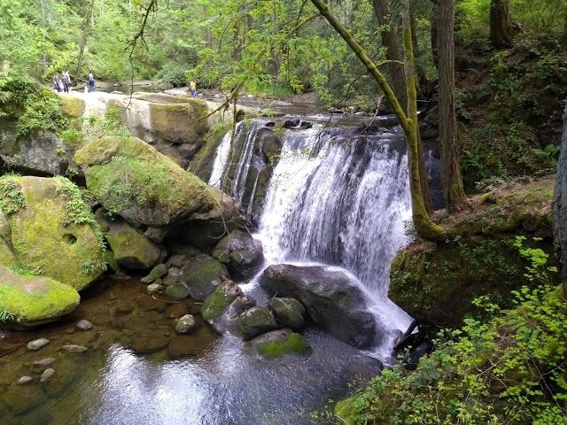 Whatcom Falls Park