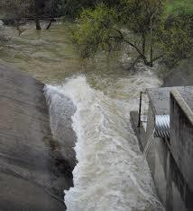 Los Gatos Creek