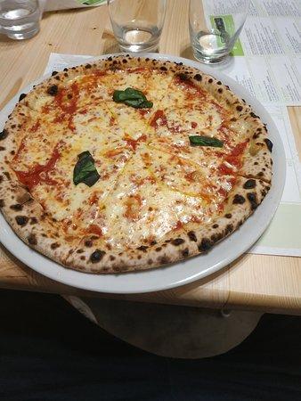 Taste of Italy