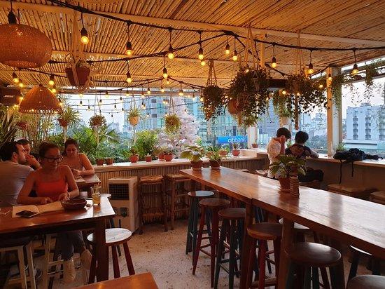 Vo Roof Garden