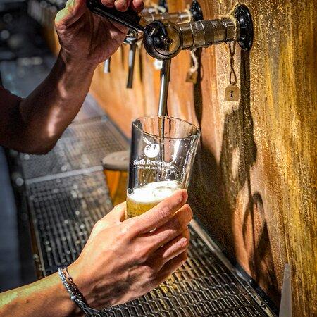 Sloth Brewing