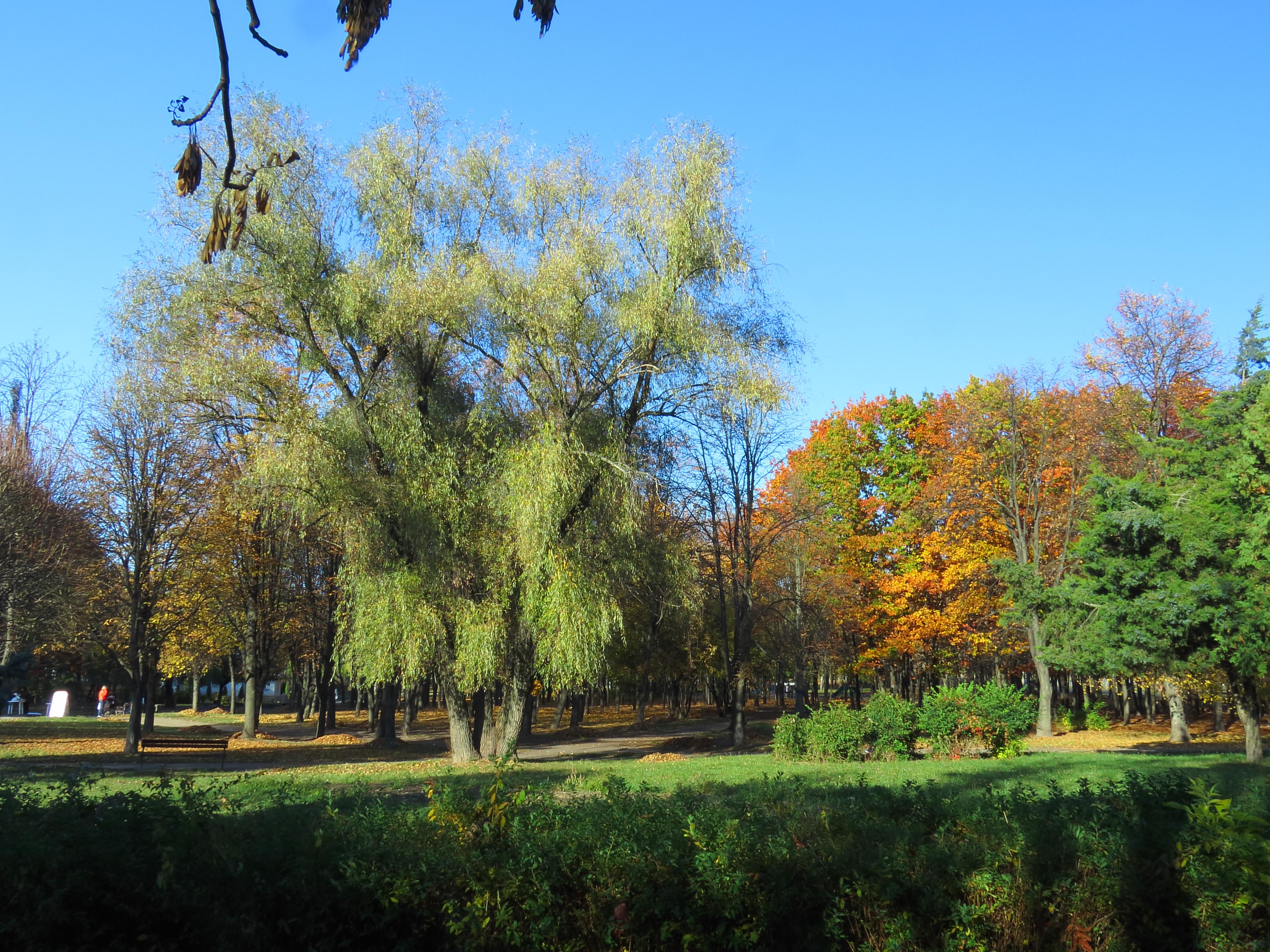 Yunist Park
