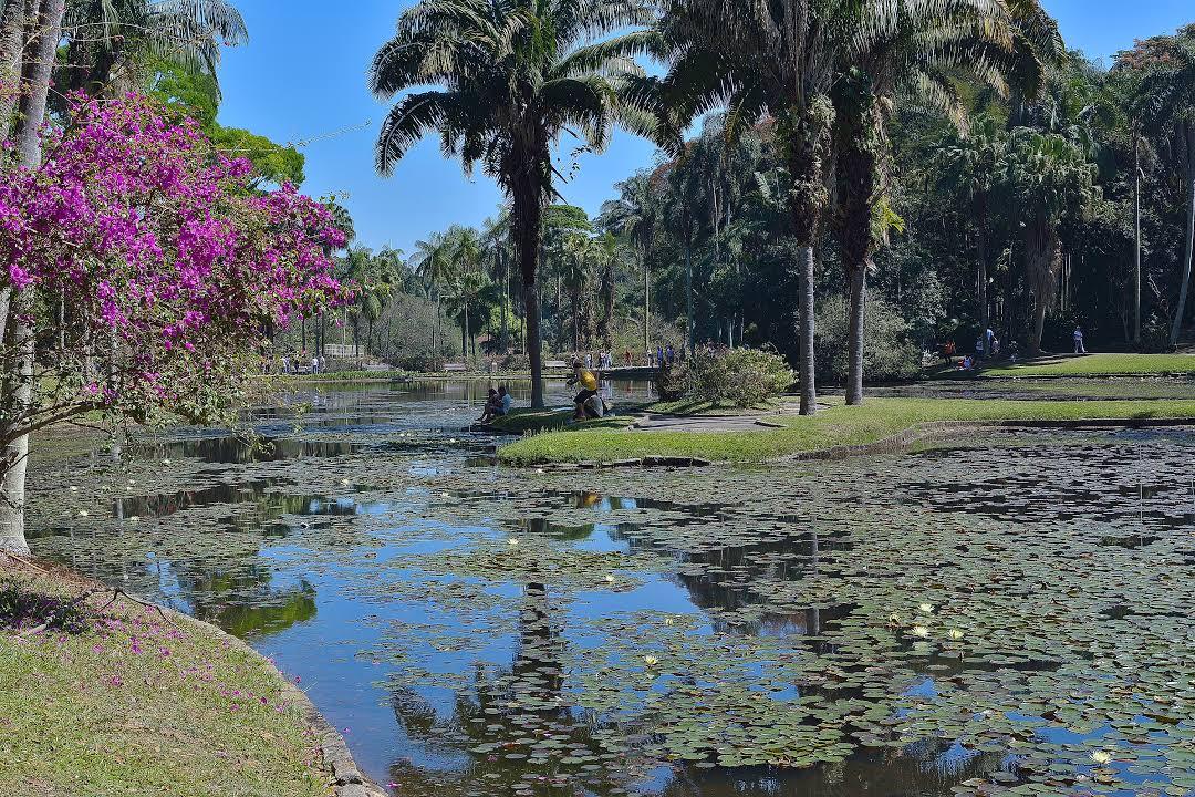 Botanical Garden of Sao Paulo