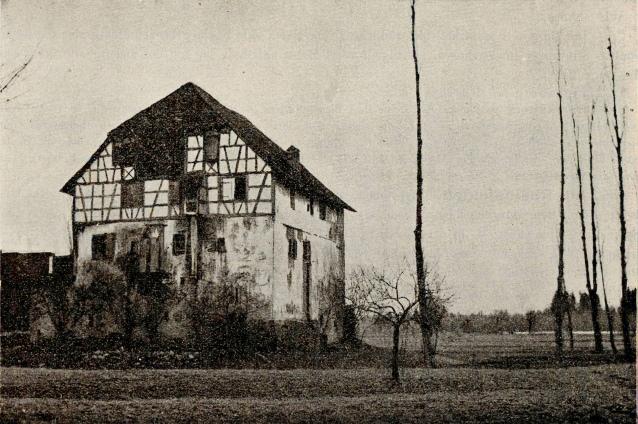 Burgstelle Alt-Rohr