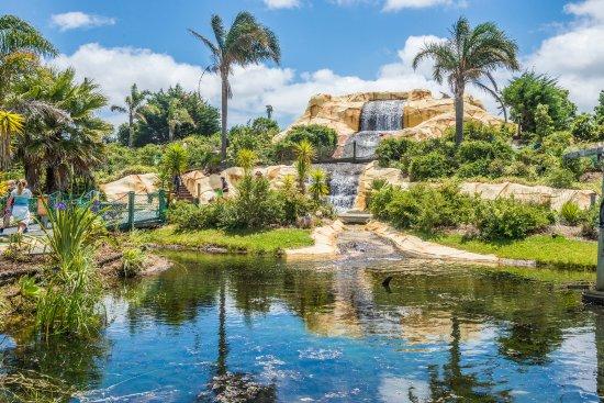 Treasure Island Adventure Golf