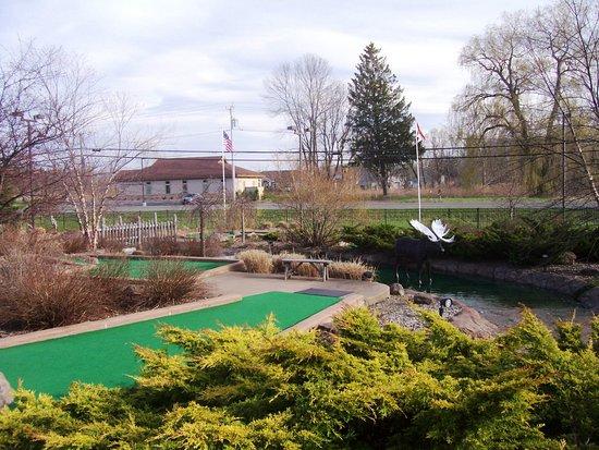 Big Don's Wild River Mini Golf