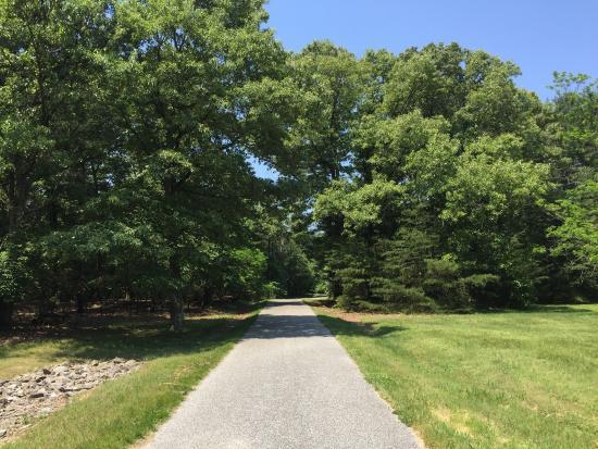 BWI Trail