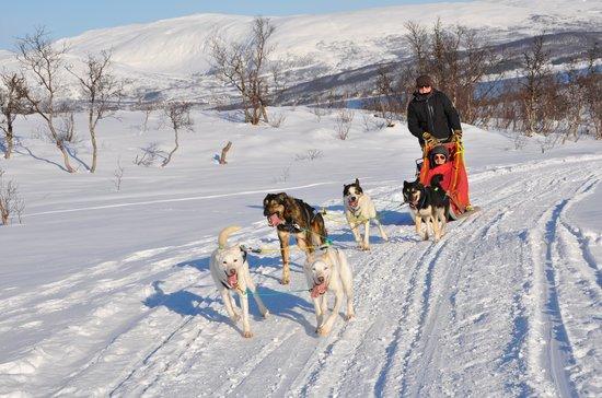 Tromso Wilderness Center