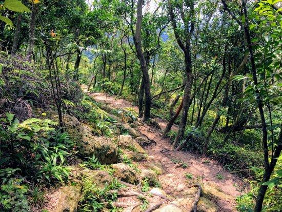 Jinmianshan Trail