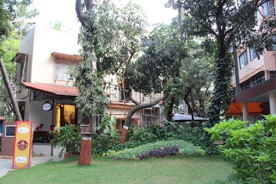 Yoga Institute