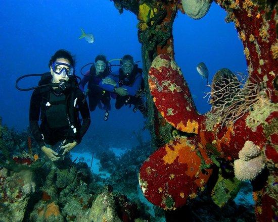 Stuart Cove's Dive & Snorkel Bahamas