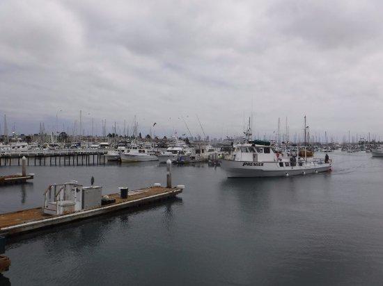 Point Loma Sportfishing