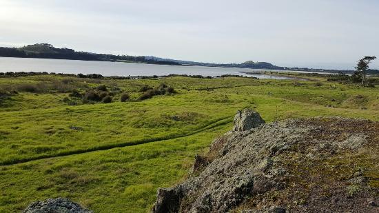 Otuataua Stonefields