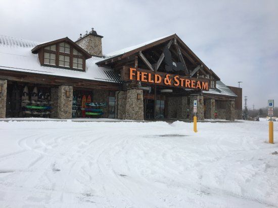 Field & Stream
