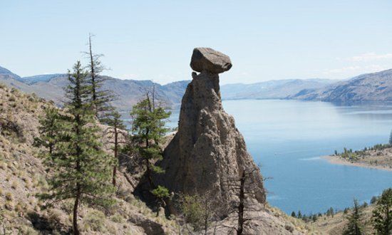 Moccasin Trails