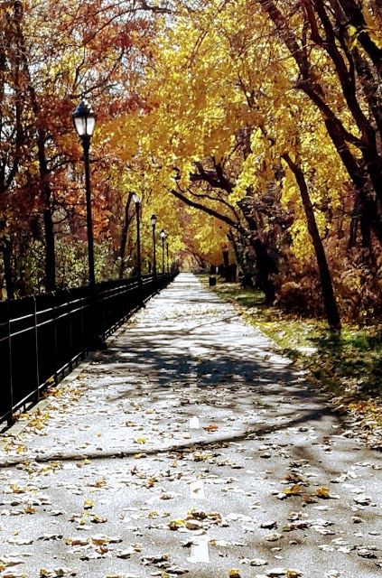 Highland Park
