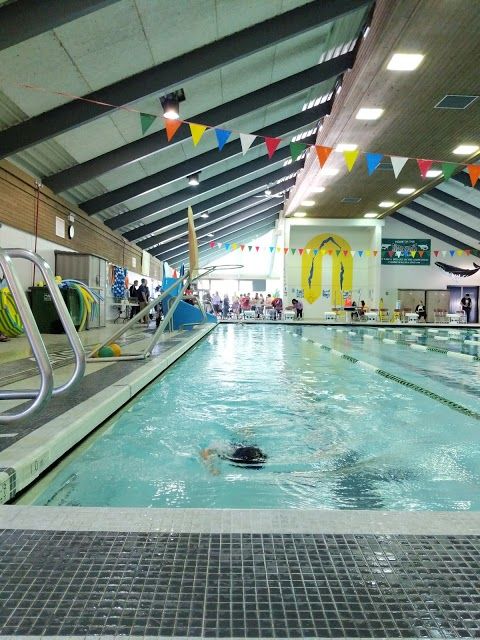 Templeton Park Pool