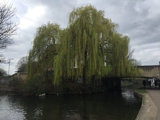 Mile End Park