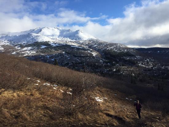 Near Point Trail
