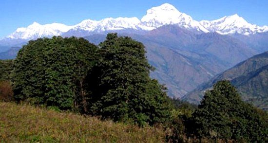 Nagarjun Forest Reserve